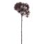 FROSTED QUEEN ANN SPRAY 56CM BURGUNDY