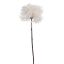 FROSTED QUEEN ANN SPRAY 56CM CREAM