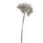 FROSTED QUEEN ANN SPRAY 56CM GREEN