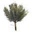 PINE PICK BUNDLE X6 W/CONES 20CM GREEN