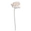 FROSTED QUEEN ANN LACE 82CM WHITE