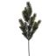 PINE SPRAY W/22 TIPS GREEN