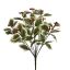 HOLLY LEAVES BUSH X10 40CM CREAM GREEN