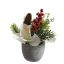 AMARYLLIS ARRANGEMENT IN POT