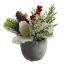 HELLEBORUS ARRANGEMENT IN POT