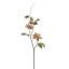 PASSIEFLORA SPRAY GOLD GREEN