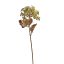 GOLD LINE HYDRANGEA 76CM GREEN
