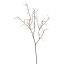 SMALL PLASTIC BRANCH 80CM CHAMPAGNE