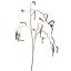 MEDIUM MULBERRY GOLD STEM 80CM BLUE GREEN