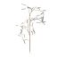 LARGE MULBERRY GOLD STEM 112CM GREEN