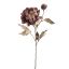 PEONY SPRAY CHAMP STEM 77CM BROWN