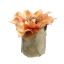 CHRISTMAS ROSE LEAF POT 11CM SALMON