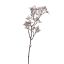 MAGIC MOSS PICK 50CM ROSE GOLD