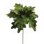 LARGE VELVET POINSETTIA H50 D40CM GREEN