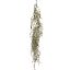 HANGING HOUTTUYNIA VINE 125CM GREEN