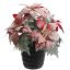 POINSETTIA X5 W/SNOW IN POT RED