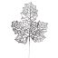 GLITTER MAPLE LEAF
