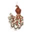 MEDIUM PEACOCK W/GLITTER 18 CM ON CLIP COPPER