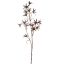 EUCOMIS SPRAY 75CM TAUPE
