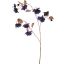 FUCHSIA 96CM GOLDSTEM BLUE