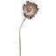 POPPY PU 60CM CHAMPAGNE