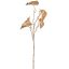MULTI ANTHURIUM BRANCH PU 66CM GOLD