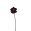 PEONY SHINY 62CM BURGUNDY