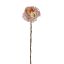 PEONY SHINY 62CM CREAM PINK