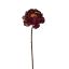 PEONY SHINY 62CM RED