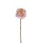 ROSE SHINY 62CM CREAM PINK