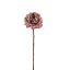 ROSE SHINY 62CM MASSALA