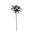 AMARYLLIS SHINY 80CM BURGUNDY
