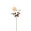 ROSE SPRAY 65CM ROSE CREAM