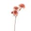 SPIDER MUM 65CM ROSE PEACH