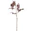 WISTERIA 100CM ROSE MAUVE