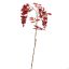 WISTERIA 100CM GOLD RED