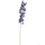 MARTAGON LILY 105CM GOLD BLUE