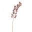 MARTAGON LILY 105CM ROSE MAUVE