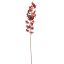 MARTAGON LILY 105CM GOLD ORANGE