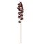 MARTAGON LILY 105CM GOLD RED