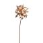 LYCORIS RADIATA 95CM GOLD