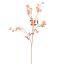 SWEET PEA 120CM GOLD ORANGE