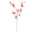 SWEET PEA 120CM GOLD RED