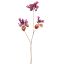 HONEYSUCKLE 90CM ROSE BURGUNDY