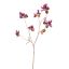 LARGE HONEYSUCKLE 120CM ROSE BURGUNDY