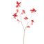 LARGE HONEYSUCKLE 120CM GOLD RED