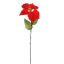 SINGLE POINSETTIA 70CM RED