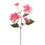 POINSETTIA SPRAY 65CM BEAUTY