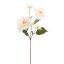POINSETTIA SPRAY 65CM CREAM