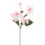 POINSETTIA SPRAY 65CM PINK